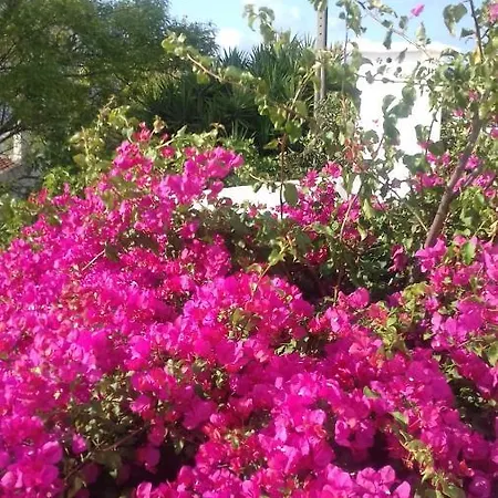 Bed & Breakfast Pensao Algarve Sao Bras de Alportel